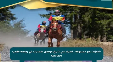 إنجازات غير مسبوقة.. تعرف على تاريخ فرسان الإمارات في رياضة القدرة العالمية